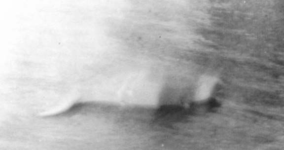 First photo of Nessie 11/12/1933